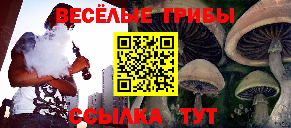 купить  цена  Вход с VPN  Галлюциногенные грибы мухоморы  Новодвинск  Галлюциногенные грибы MAGIC MUSHROOMS 
